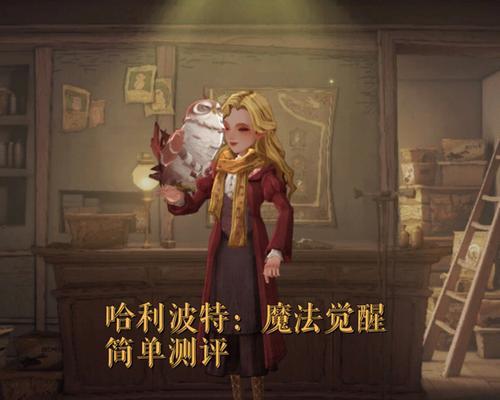 《哈利波特魔法觉醒娱乐赛，创造你的魔法世界》（以游戏为主，打造个人魔法师团队，展现魔法魅力）