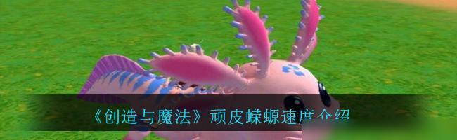 创造与魔法顽皮蝾螈饲料攻略（让你的宠物蝾螈健康成长）