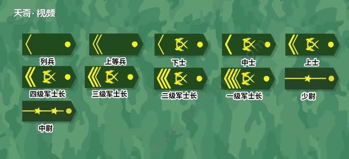 《CFHD军衔等级排名一览表》（从新兵到元帅）