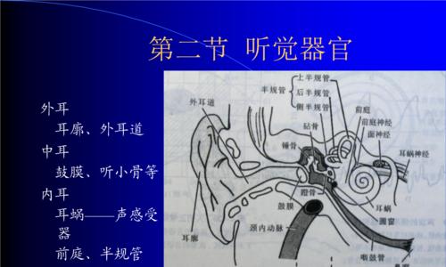 以人体工厂听觉车间通关技巧详解（以游戏为主）