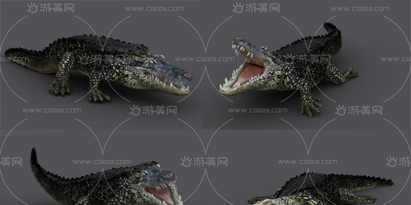 动物派对游戏攻略（掌握攻略技巧）