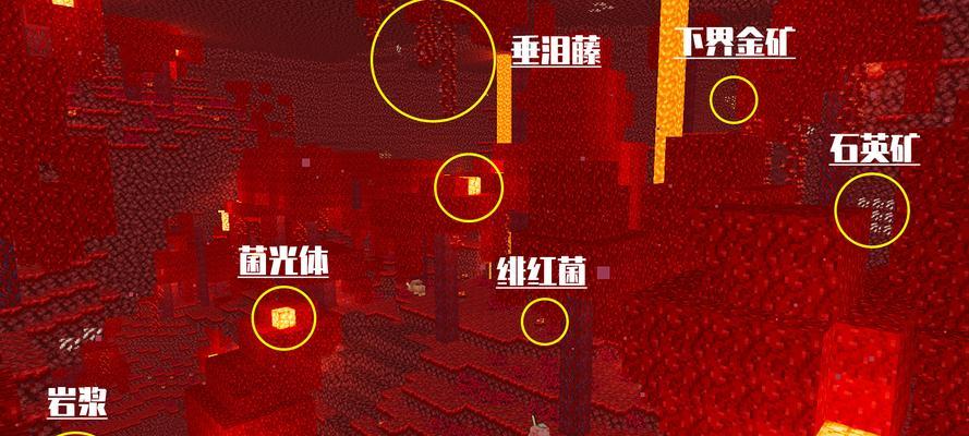 探索《我的世界》中的沙滩群系（了解沙滩群系的特点和玩法）