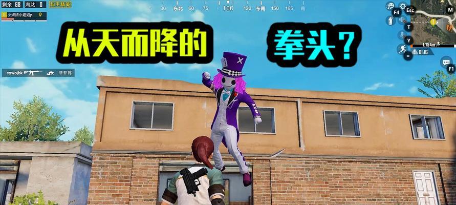 和平精英巡查员（以游戏为主）