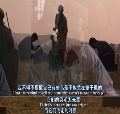 以阿甘快跑生活为主题的巧克力探究