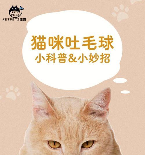 小森生活猫毛球有什么用？猫毛球的作用是什么？