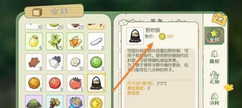 小森生活野炊锅使用方法指南？遇到问题怎么解决？