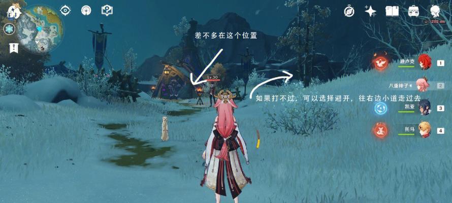 原神忍冬之果的最佳使用对象是谁？如何分配以获得最大效益？