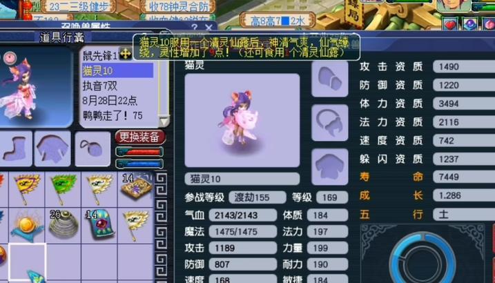 175级梦幻西游猫灵的速度是多少？