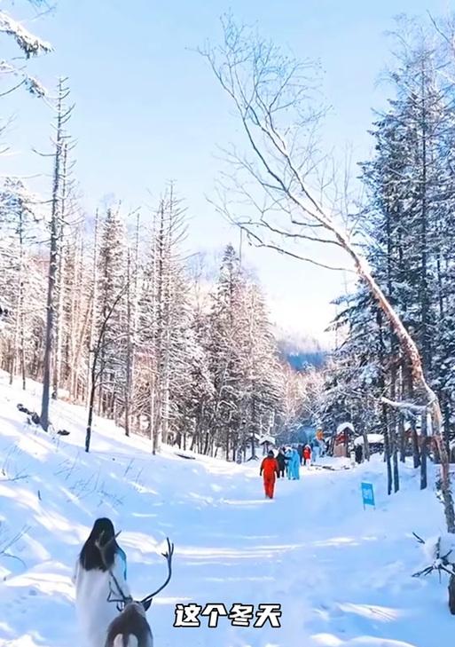 雪地逃亡魔兽游戏怎么玩？有哪些技巧？