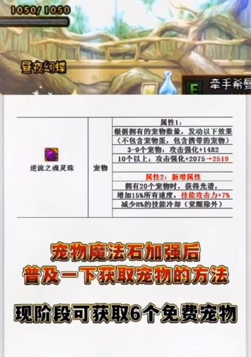 DNF宠物更改方法是什么？有哪些注意事项？