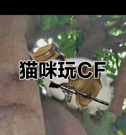 cf中猫的售价是多少？