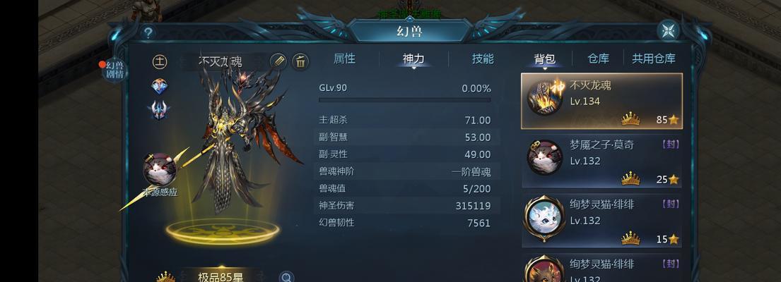 魔域龙骑的技能有哪些？如何有效使用？