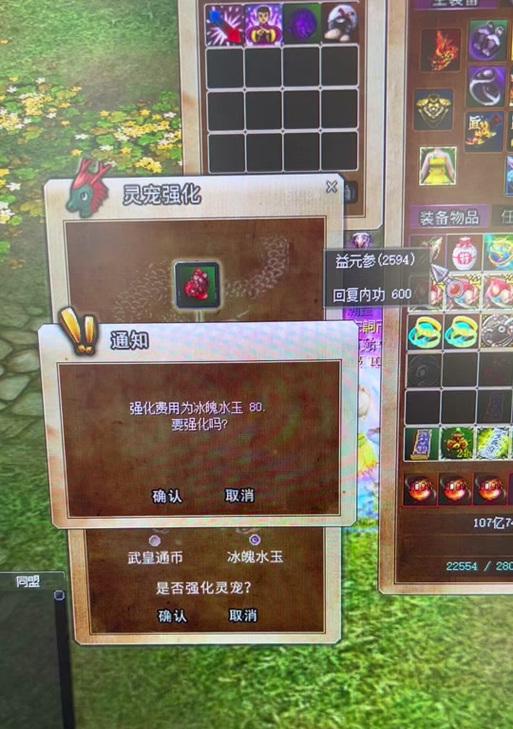 热血江湖中灵兽技能制作方法是什么？