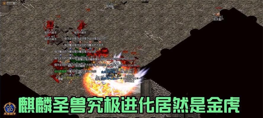 热血传奇圣兽快速培养方法是什么？
