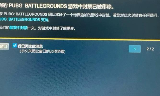 绝地求生中如何关闭枪声和回音？关闭后对游戏体验有何影响？