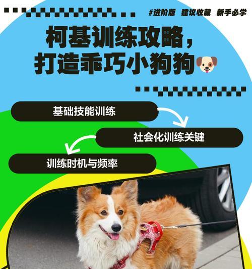 绝地求生中柯基的使用技巧有哪些？如何有效利用柯基？