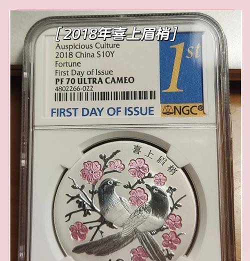 银币活动的内容和参与方式是什么？