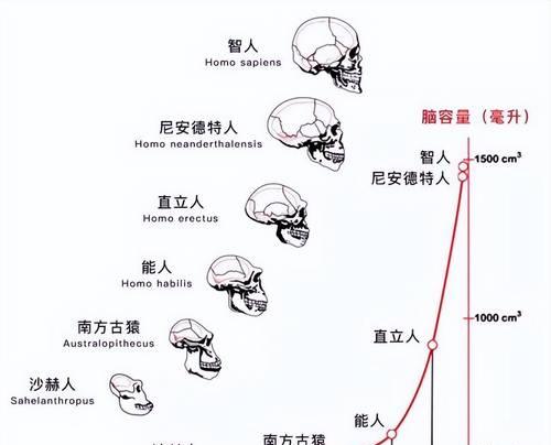 阴阳师器灵进化条件是什么？如何正确选择进化路径？