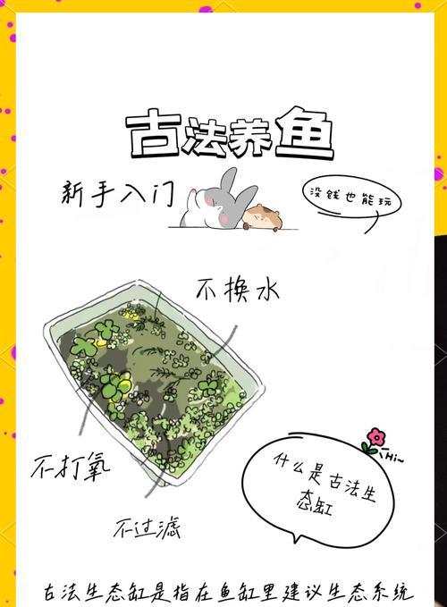 我的世界中如何喂养蝌蚪？蝌蚪的饲养方法是什么？