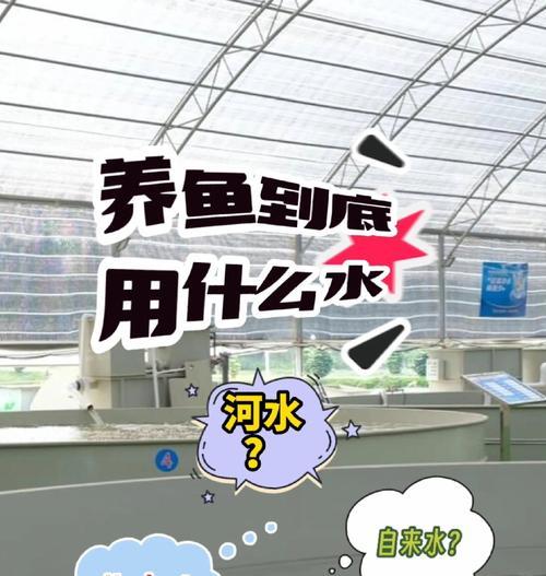我的世界水系养鱼方法是什么？需要注意什么？