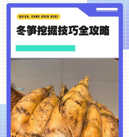 我的世界中竹笋如何挖掘？挖掘竹笋有哪些技巧？