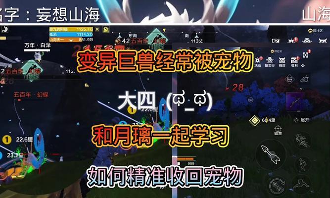 《妄想山海抓宠物攻略》（掌握抓宠物技巧）