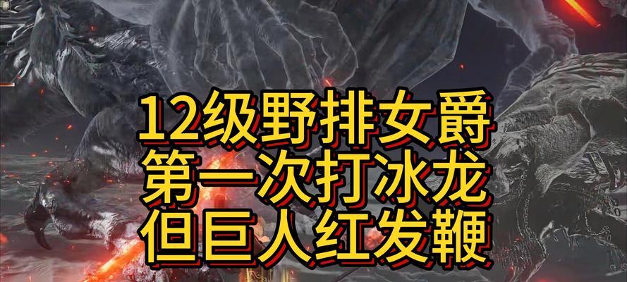 《太极熊猫》游戏冰龙黑龙（游戏中冰龙黑龙的独特魅力与实力）