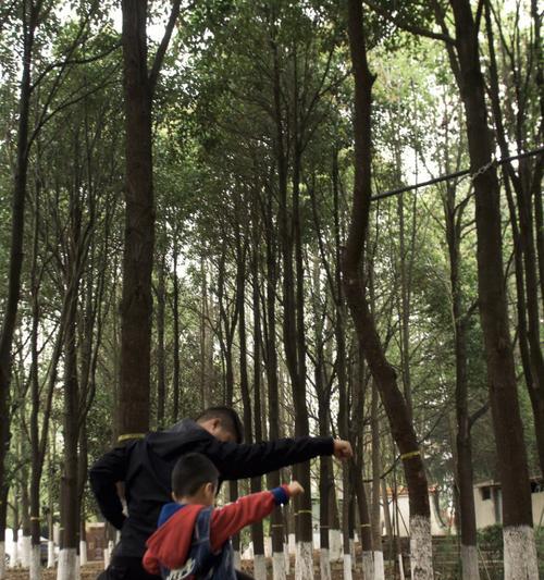 我爱学功夫新手玩法攻略（探索武林世界）