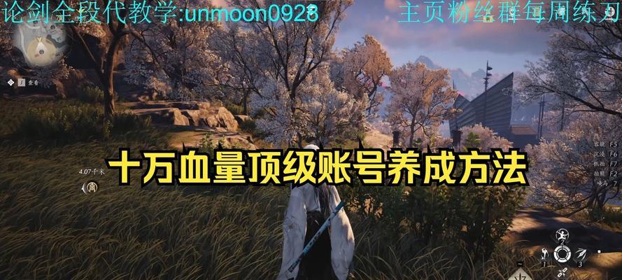 《刀塔2》中如何显示血量数字？显示血量数字的设置方法是什么？