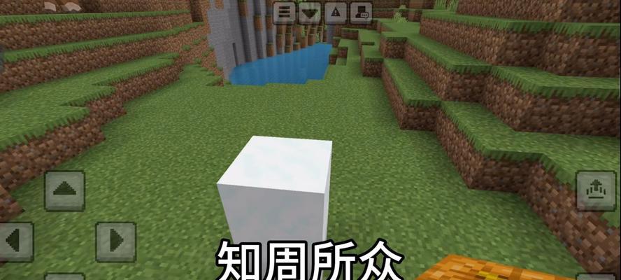 我的世界豹子召唤方法是什么？