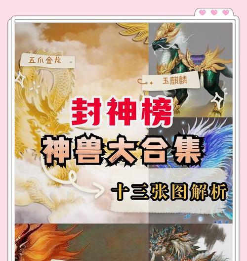 神仙道坐骑金石无法使用的原因是什么？