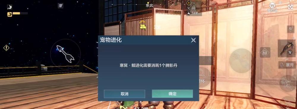 妄想山海岳云鲲的进化与乘骑方法详解（探索神秘世界）