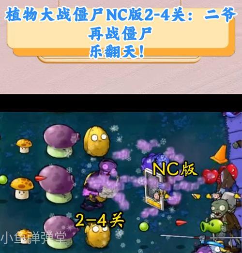 《植物大战僵尸》游戏第四关（6-10）