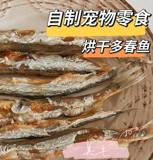 《如何在动物餐厅中刷到更多的小鱼干》（掌握游戏技巧）