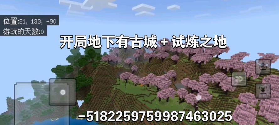 我的世界平坦世界种子如何使用？种植技巧有哪些？