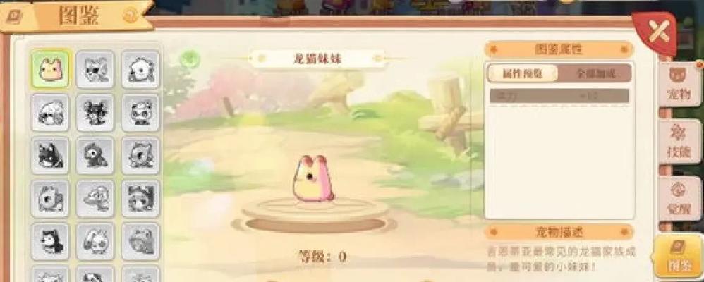 彩虹岛宠物喂食技巧有哪些？