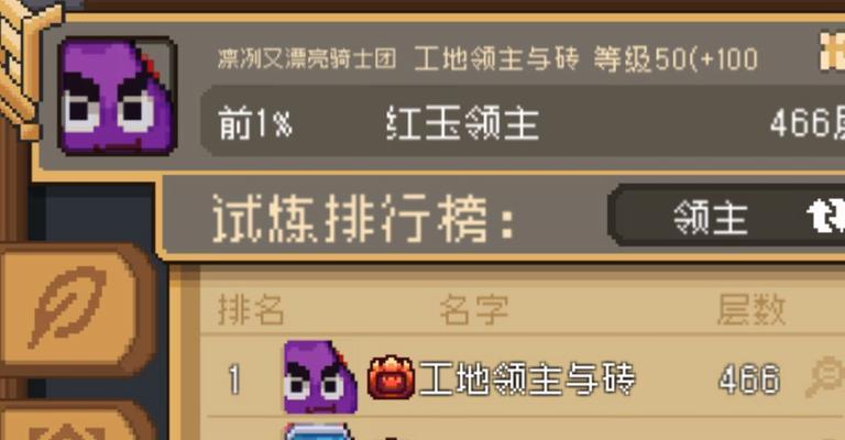 元气骑士盾牌的神奇力量（揭秘元气骑士盾牌的各种功能和用途）