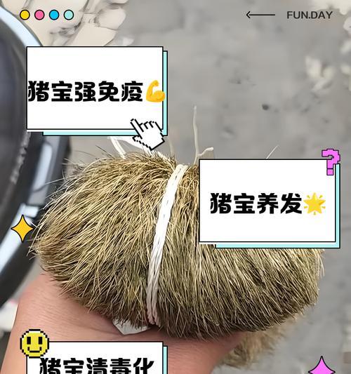 绝地求生中七宝公猪的获取方法是什么？有哪些途径？