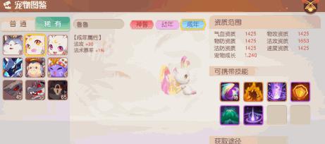 选择适合你的梦想新大陆服务器（如何选择适合自己的游戏服务器）