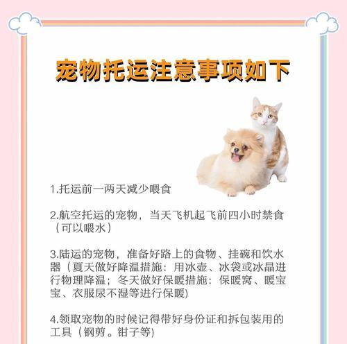御灵宠物更换方法有哪些？换宠物需要注意什么？