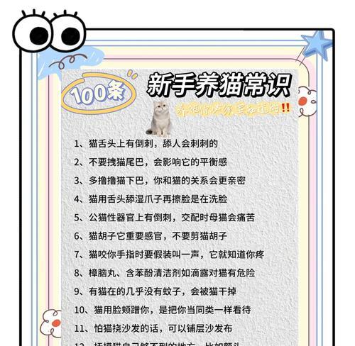 小森生活养猫攻略（新手养猫技巧详解）