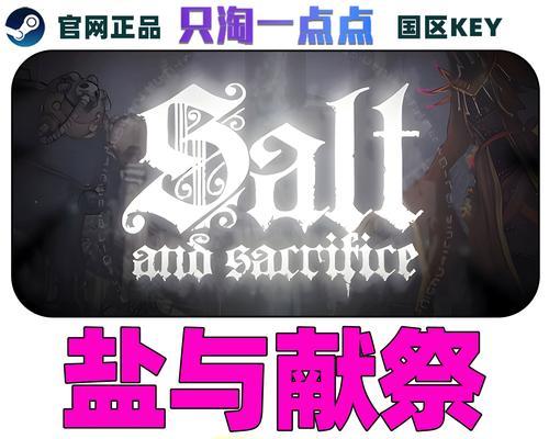 以盐与献祭（探索多人联机玩法）