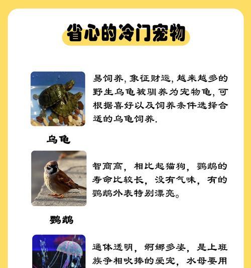 探索黑暗与光明的工作宠物之旅（选择和培养属于你的宠物团队）