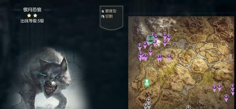 黑暗与光明战斗宠物（选择黑暗或光明）