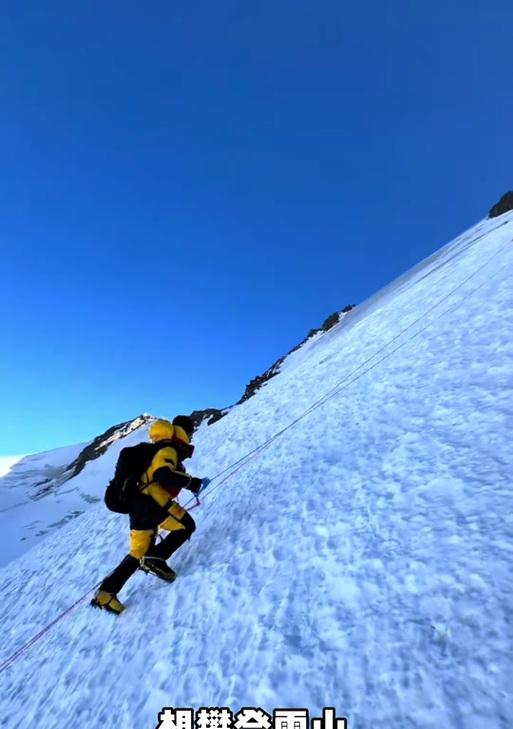 雪山守卫者（击退无良登山客）