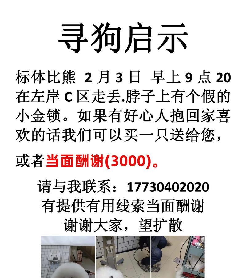 探索未知的宝藏，你的狗狗能找到骨头吗（揭秘掘地狗游戏的骨头寻找之谜）