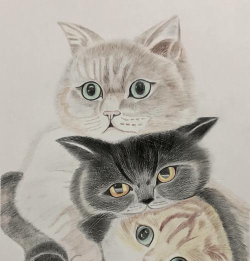 幻想猫咪（成为猫咪大师）