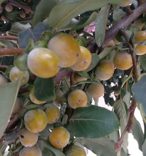 洪泽论坛（游戏玩家的乐园）