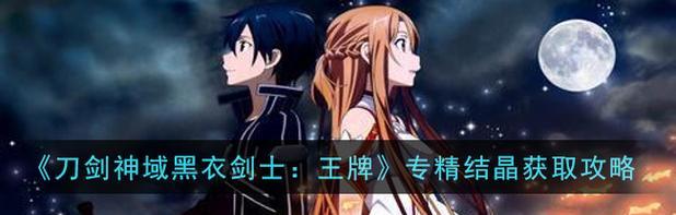 《刀剑神域》黑衣剑士王牌专精结晶获取攻略（全面解析如何获得王牌专精结晶）
