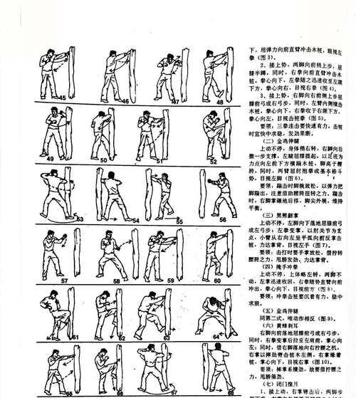 《烈魂传极品武魂解析攻略》（从游戏中获取极品武魂的技巧与经验分享）